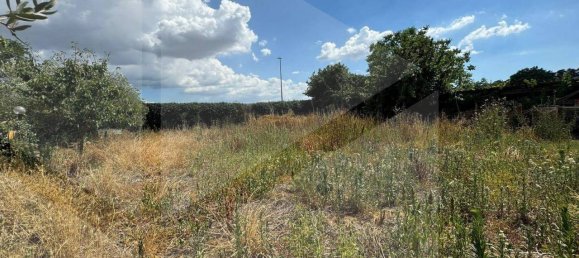 10-Zimmer Haus in Rome, Italy, Nr. 34324 32