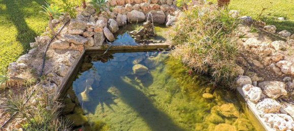 1 bedroom Bungalow in Torrevieja, Spain No. 95073 10