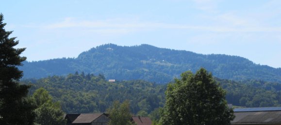 4غرفة منزل في Oberhaag, Austria رقم 233029 25