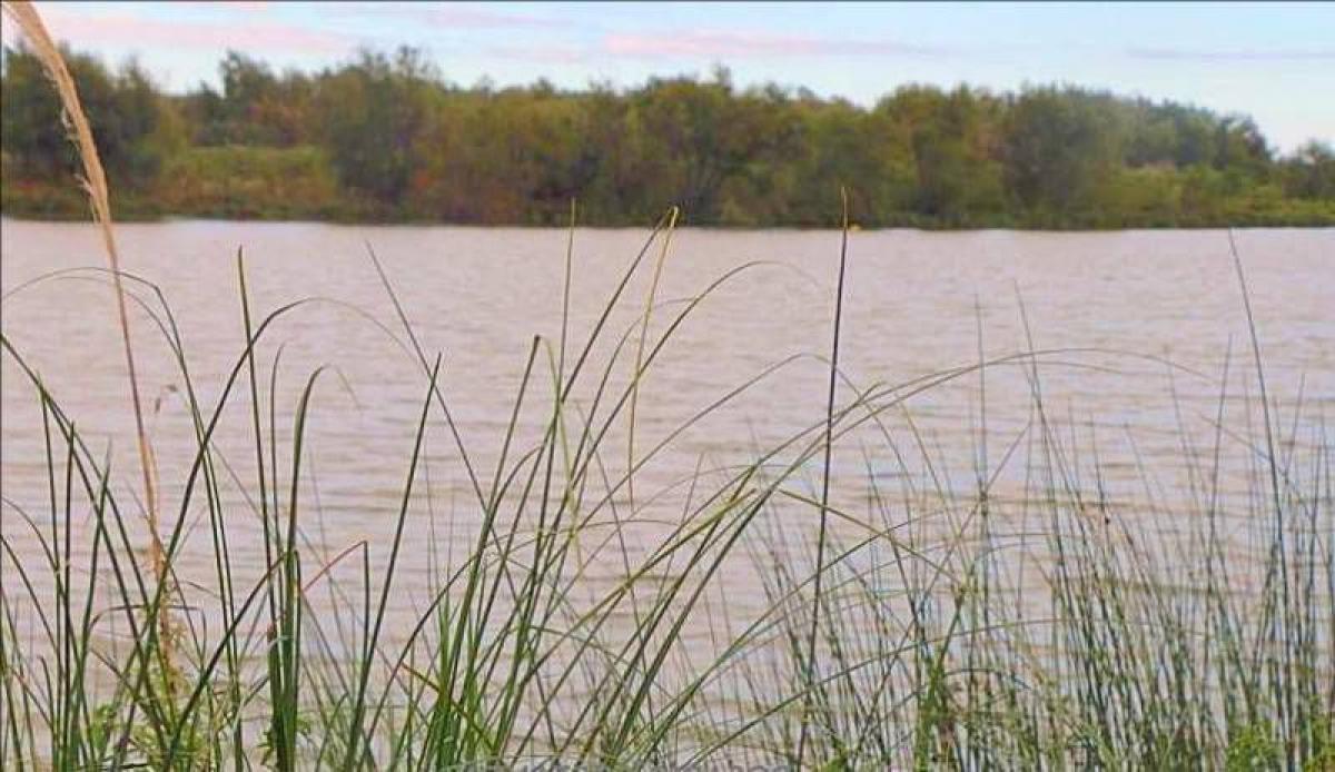 Grundstück in Tigre, Argentina, Nr. 44985