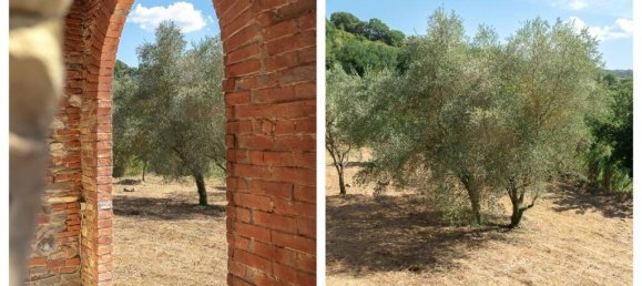 4 غرف نوم منزل في Città della Pieve, Italy رقم 58471 15