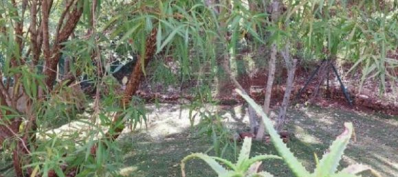 6 bedrooms Villa in Le Luc, France No. 285909 15