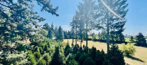 4 bedrooms House in Teltow-Flaming, Germany No. 94908 5