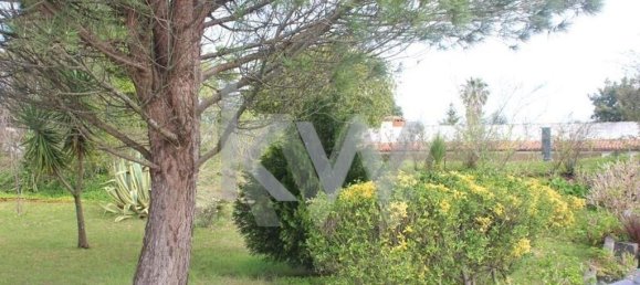 Casa T6 em Oliveira de Azeméis, Portugal N.º 91897 8