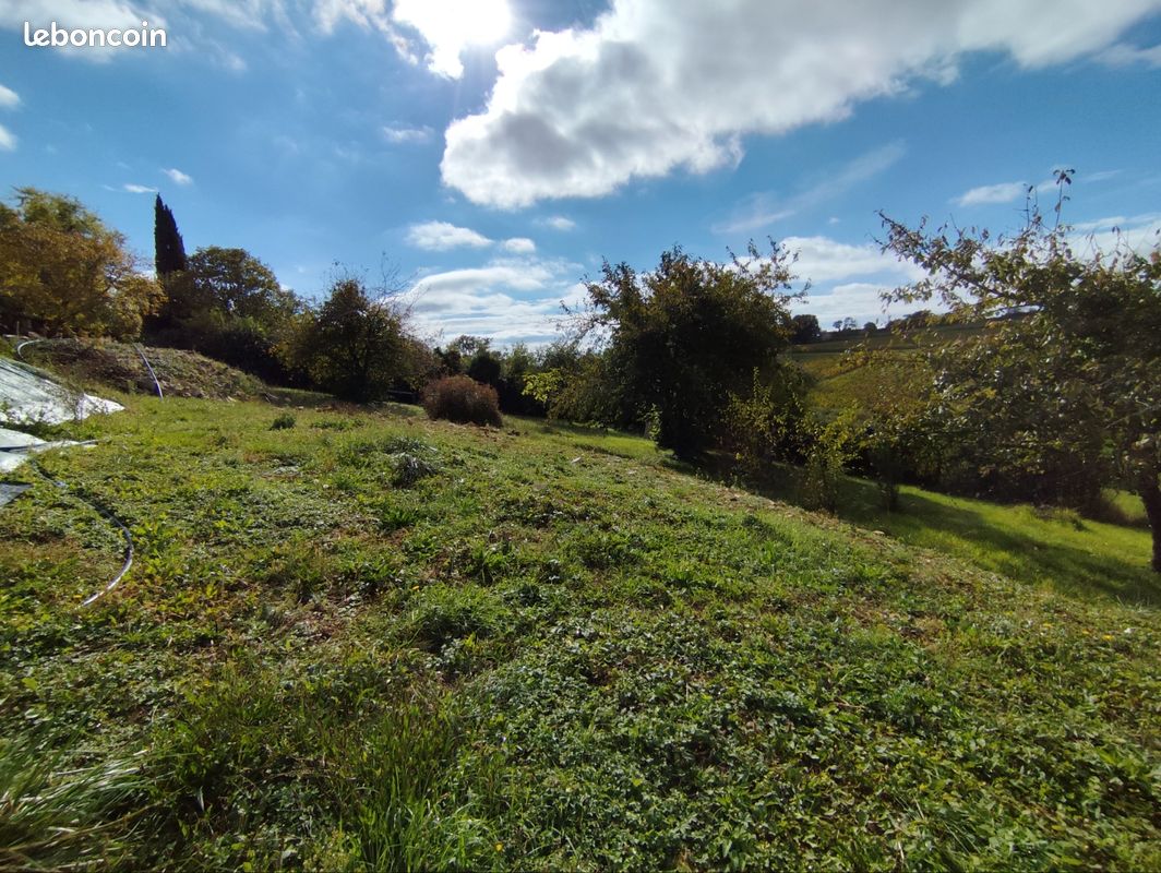  Land in Hurigny, France No. 289844