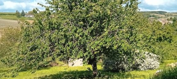  Land in Hurigny, France No. 289844 4