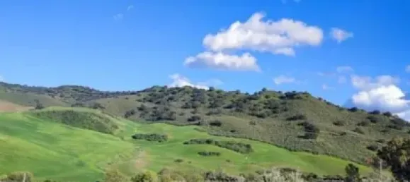 Grundstück in Cadiz, Spain 692m², Nr. 186842 10