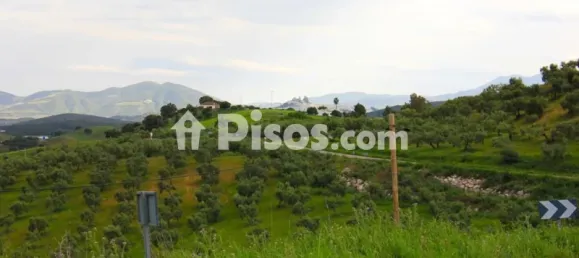 Grundstück in Cadiz, Spain 692m², Nr. 186842 16