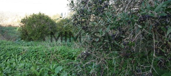 6 bedrooms House in Lagos, Portugal No. 17659 50