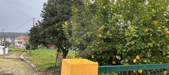 2 bedrooms House in Couco, Portugal No. 179554 22