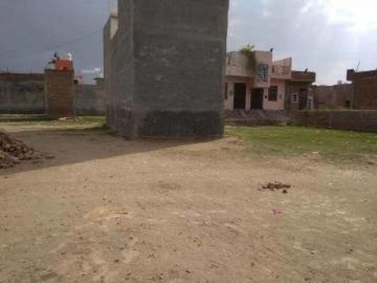 Grundstück in Noida, India, Nr. 65438