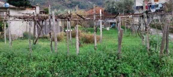 3-Zimmer Wohnung in Buonvicino, Italy, Nr. 176073 3