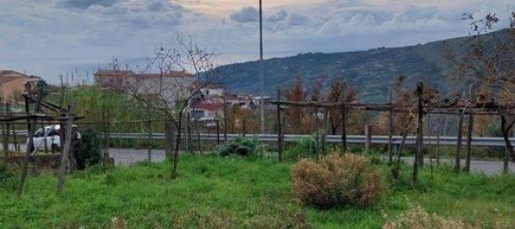 3-Zimmer Wohnung in Buonvicino, Italy, Nr. 176073 2