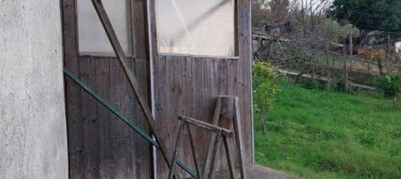 3-Zimmer Wohnung in Buonvicino, Italy, Nr. 176073 20