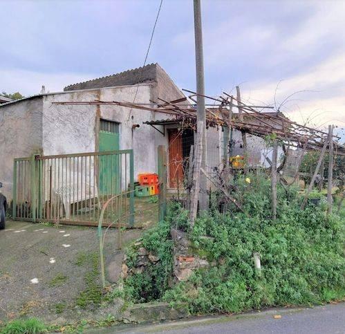 3-Zimmer Wohnung in Buonvicino, Italy, Nr. 176073