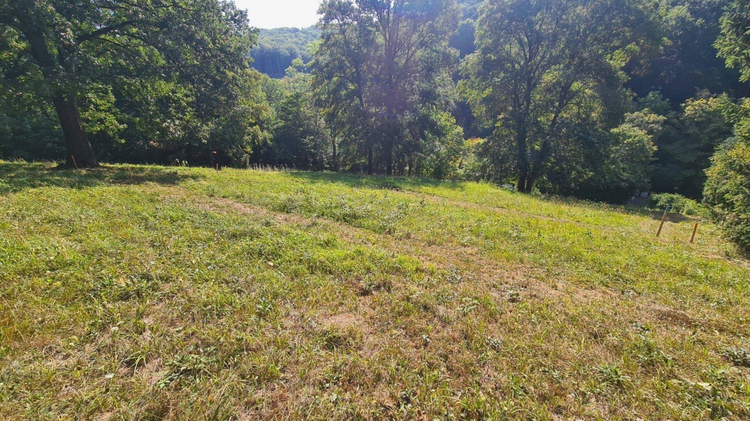  قطعة أرض في Penzing, Austria 5158متر مربع رقم 163596