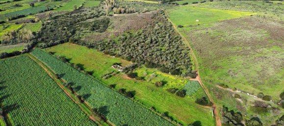 Terreno en Sardinia, Italy 9700 m² No. 243802 3