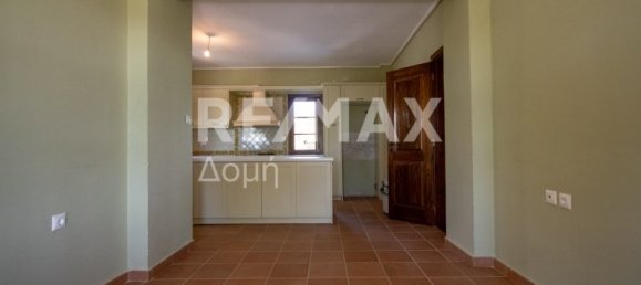 7 chambres Propriété commerciale à Mouresi, Greece No. 8831 13