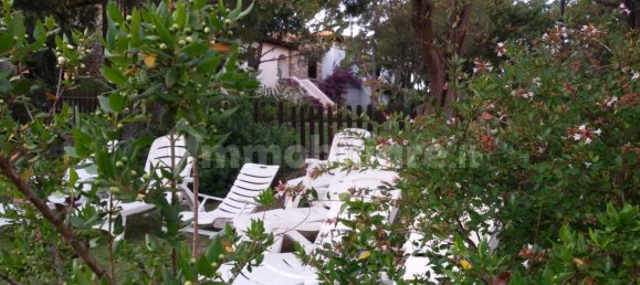 1 chambre Appartement à Olbia, Italy No. 351806 3