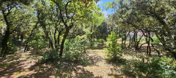 911m² Land in Bourg-Saint-Andeol, France No. 286368 4