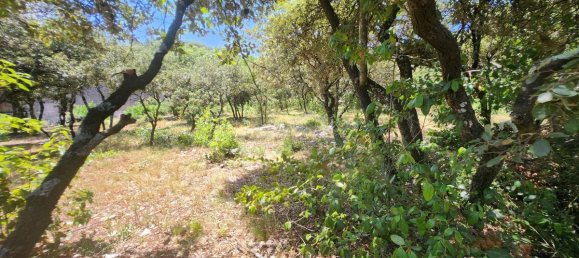 911m² Land in Bourg-Saint-Andeol, France No. 286368 3