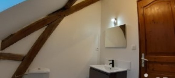 2 bedrooms House in Saint-Florent-sur-Cher, France No. 245217 4
