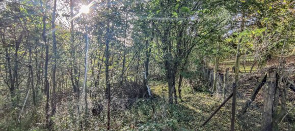 Земельный участок в Хамельн-Пирмонт, Германия № 331779 6