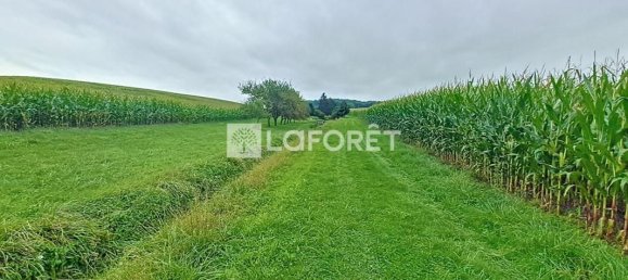Grundstück in Ardennes, France 6668m², Nr. 290853 11