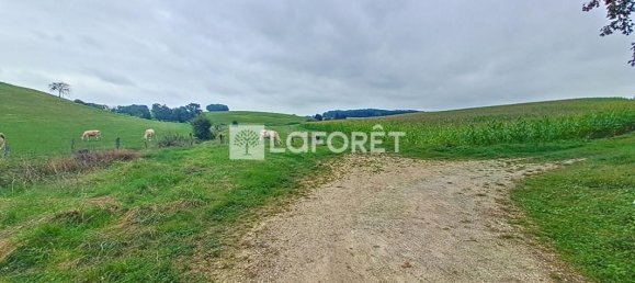 Grundstück in Ardennes, France 6668m², Nr. 290853 12