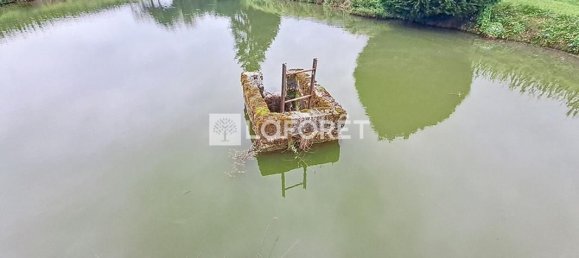 Grundstück in Ardennes, France 6668m², Nr. 290853 3