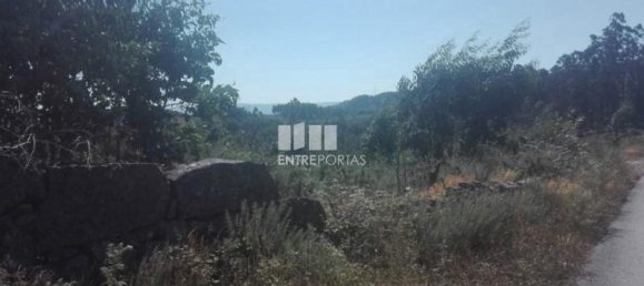 9700m² Land in Marco de Canaveses, Portugal No. 52095 4