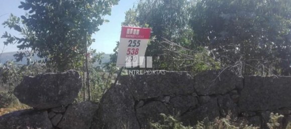 9700m² Land in Marco de Canaveses, Portugal No. 52095 2