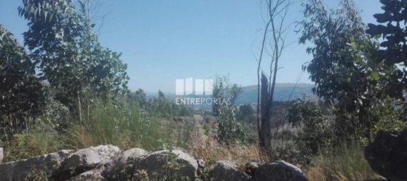 9700m² Land in Marco de Canaveses, Portugal No. 52095 3