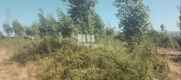 9700m² Land in Marco de Canaveses, Portugal No. 52095 5