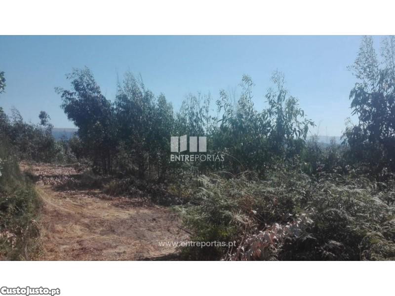 9700m² Land in Marco de Canaveses, Portugal No. 52095