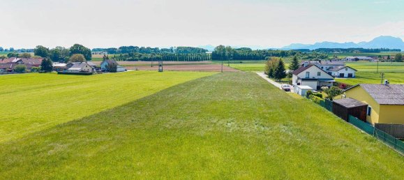 Terrain à Roitham am Traunfall, Austria No. 163865 3