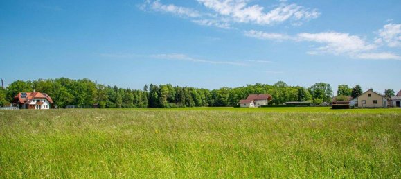 Terrain à Roitham am Traunfall, Austria No. 163865 8