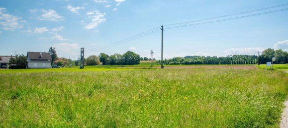 Terrain à Roitham am Traunfall, Austria No. 163865 7