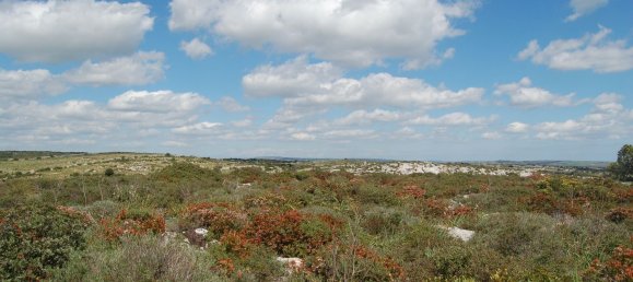 Casa de 2 divisões em Noto, Italy N.º 256311 6