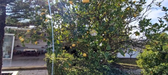 3 غرف نوم منزل في Lourinha, Portugal رقم 113996 6