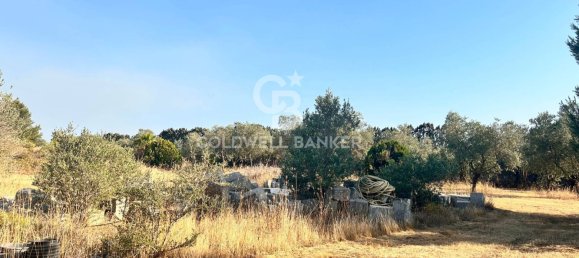 16569m² Land in Corigliano d'Otranto, Italy No. 63599 4