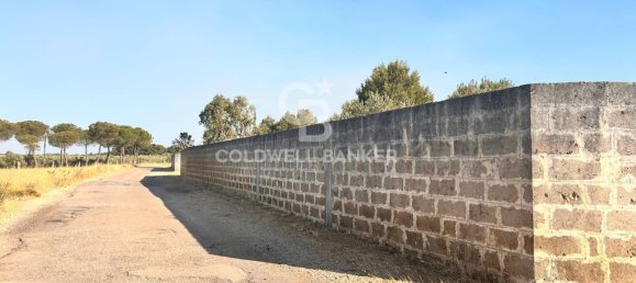 16569m² Land in Corigliano d'Otranto, Italy No. 63599 9