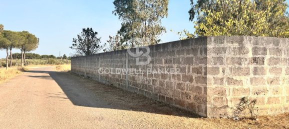 16569m² Land in Corigliano d'Otranto, Italy No. 63599 8