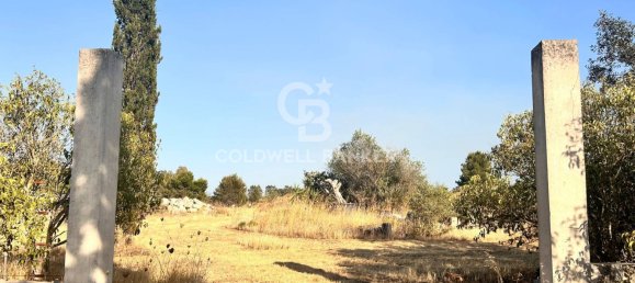16569m² Land in Corigliano d'Otranto, Italy No. 63599 3
