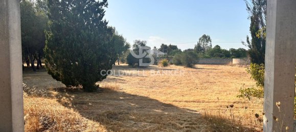 16569m² Land in Corigliano d'Otranto, Italy No. 63599 2