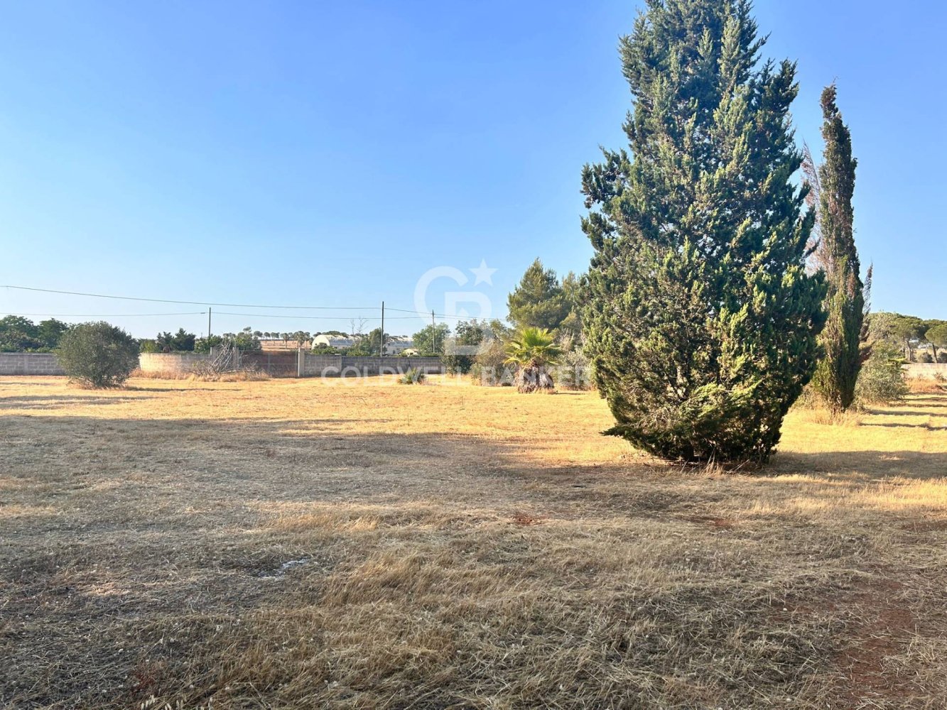 16569m² Land in Corigliano d'Otranto, Italy No. 63599