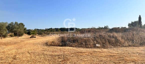 16569m² Land in Corigliano d'Otranto, Italy No. 63599 6