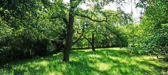 3 rooms Land in Gablitz, Austria No. 24624 20