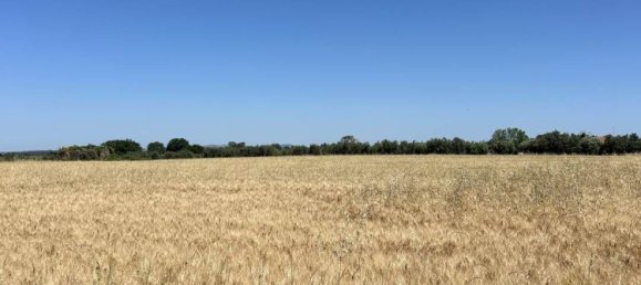 Studio in Tuscania, Italy, Nr. 303792 10