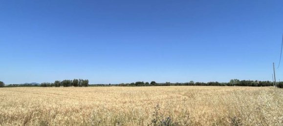 Studio in Tuscania, Italy, Nr. 303792 3